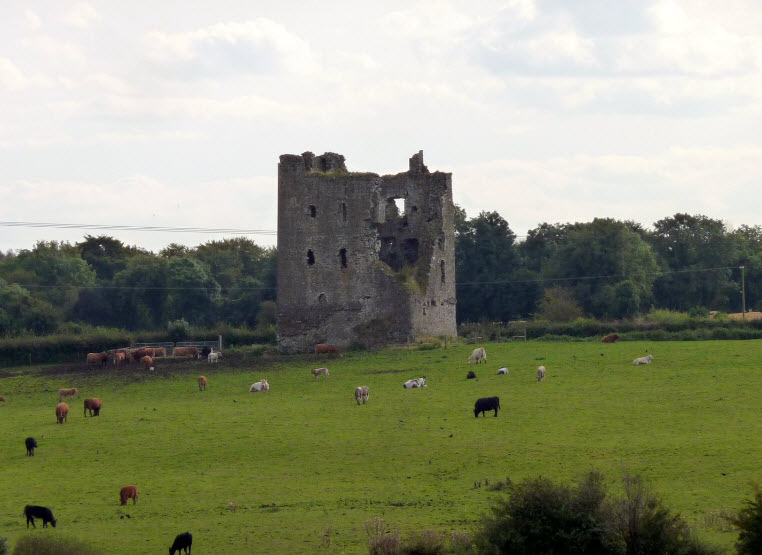 Rattin Castle, Republic of Ireland, Ireland